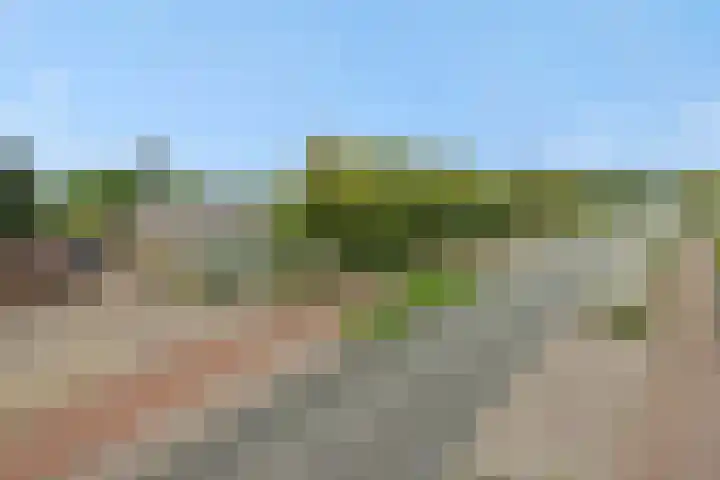 Heescheweg 3 Nistelrode thumbnail 74