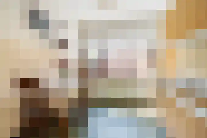 Heeske 3 a Maasbree thumbnail 10