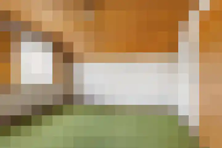Heeske 3 a Maasbree thumbnail 23