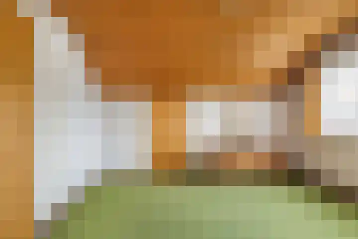 Heeske 3 a Maasbree thumbnail 24