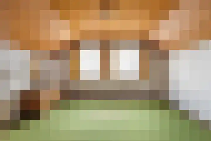 Heeske 3 a Maasbree thumbnail 25