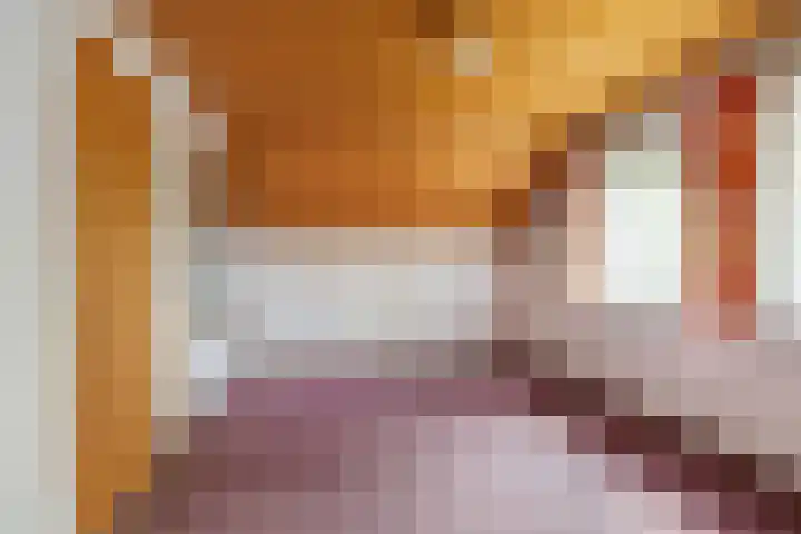Heeske 3 a Maasbree thumbnail 26