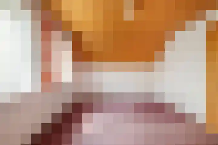 Heeske 3 a Maasbree thumbnail 27