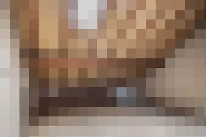 Heeske 3 a Maasbree thumbnail 29