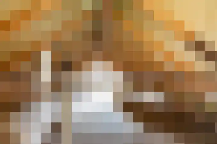 Heeske 3 a Maasbree thumbnail 30