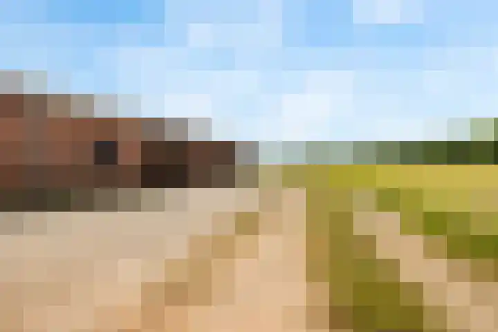Heeske 3 a Maasbree thumbnail 36