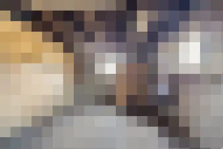 Heeske 3 a Maasbree thumbnail 37