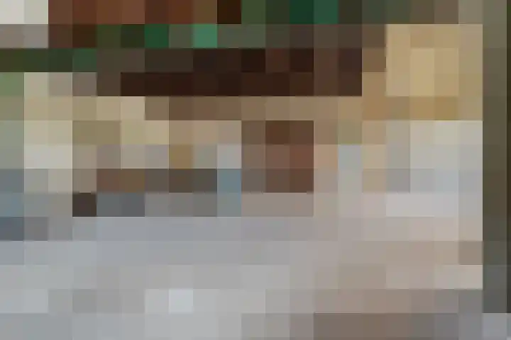 Heeske 3 a Maasbree thumbnail 46