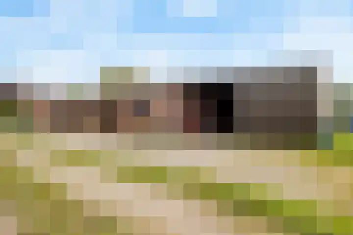 Heeske 3 a Maasbree thumbnail 48