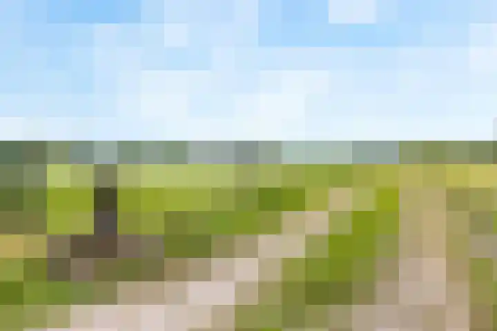 Heeske 3 a Maasbree thumbnail 49