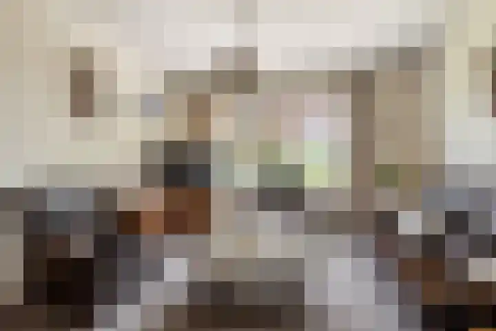 Heeske 3 a Maasbree thumbnail 5