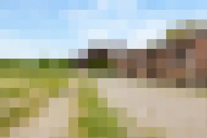 Heeske 3 a Maasbree thumbnail 50
