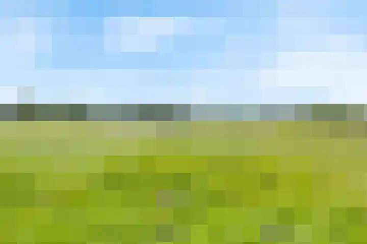 Heeske 3 a Maasbree thumbnail 51