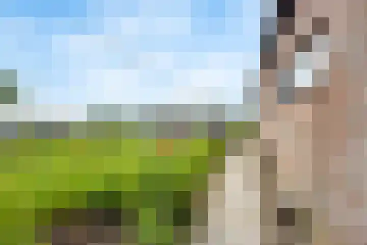Heeske 3 a Maasbree thumbnail 53
