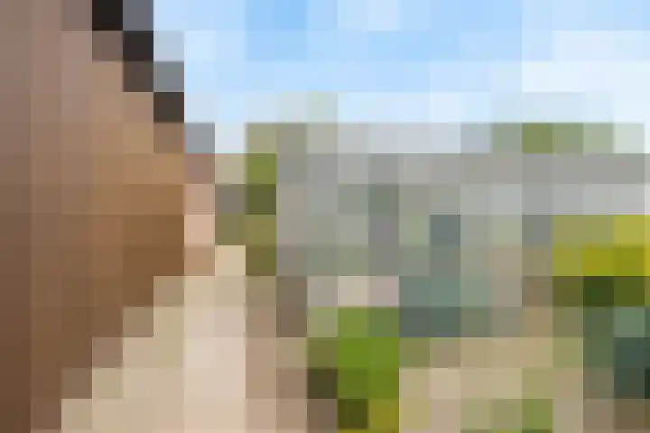 Heeske 3 a Maasbree thumbnail 54