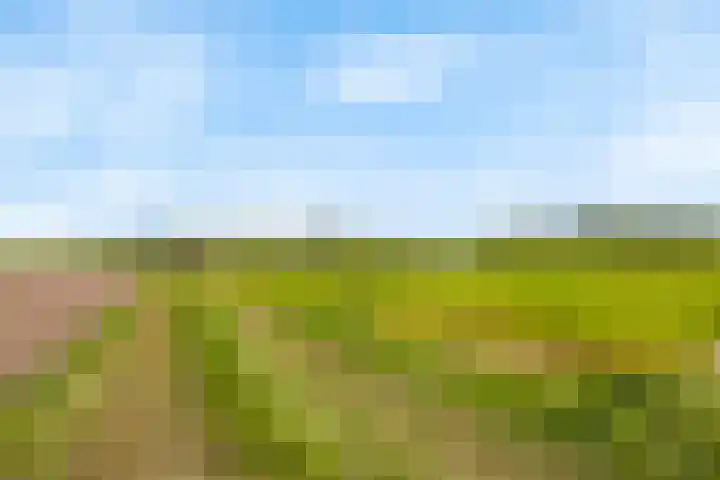 Heeske 3 a Maasbree thumbnail 57