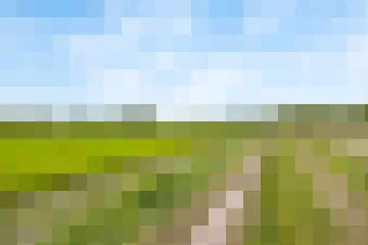 Heeske 3 a Maasbree thumbnail 58