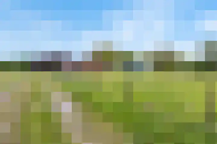 Heeske 3 a Maasbree thumbnail 59