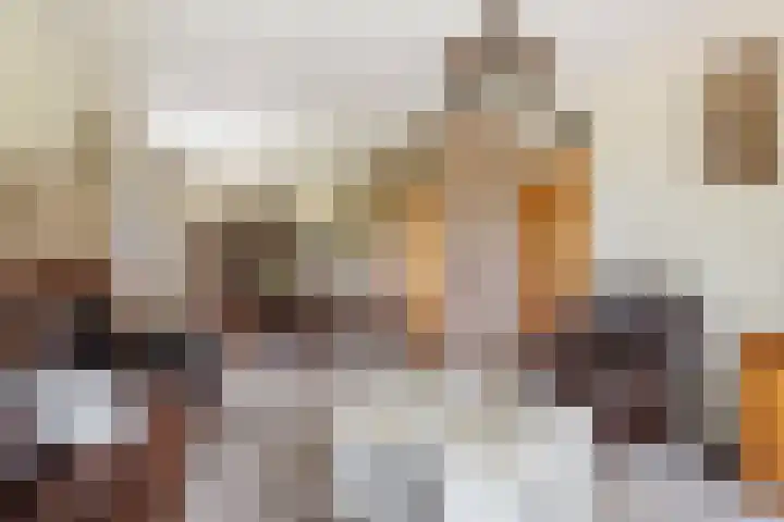 Heeske 3 a Maasbree thumbnail 6