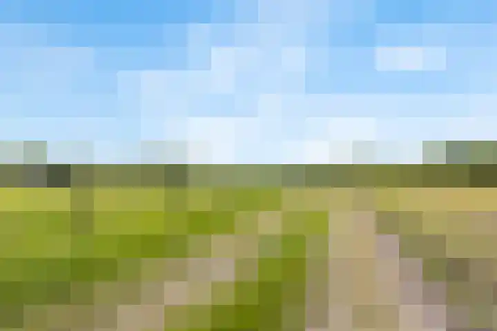 Heeske 3 a Maasbree thumbnail 60