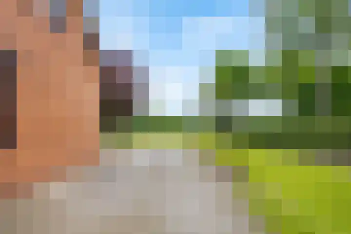 Heeske 3 a Maasbree thumbnail 61