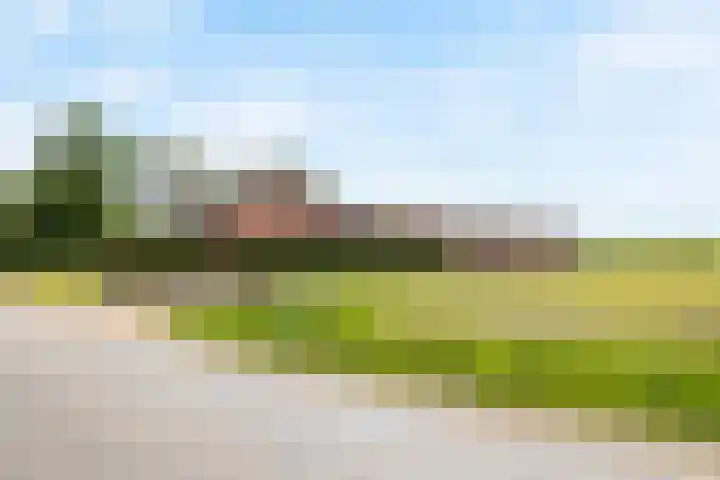 Heeske 3 a Maasbree thumbnail 62