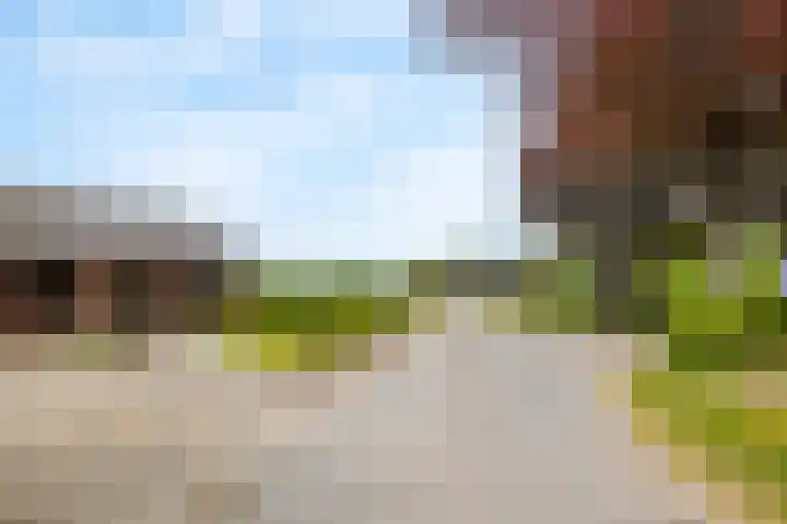 Heeske 3 a Maasbree thumbnail 65