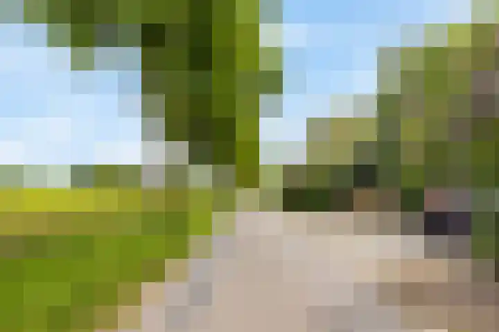 Heeske 3 a Maasbree thumbnail 66