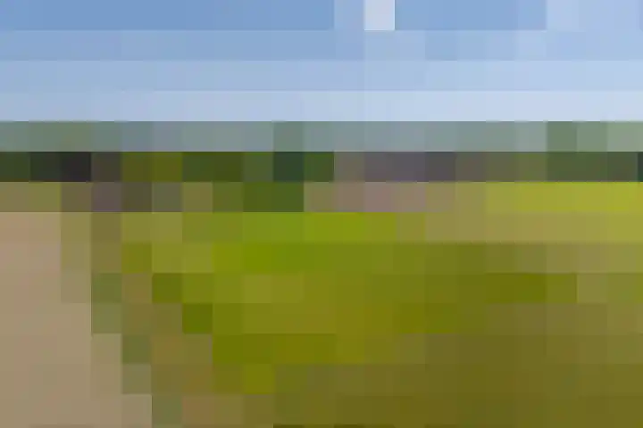 Heeske 3 a Maasbree thumbnail 67