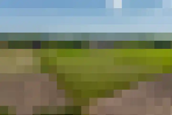 Heeske 3 a Maasbree thumbnail 68