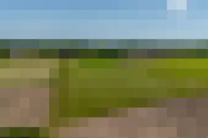 Heeske 3 a Maasbree thumbnail 69
