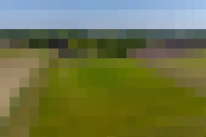 Heeske 3 a Maasbree thumbnail 70
