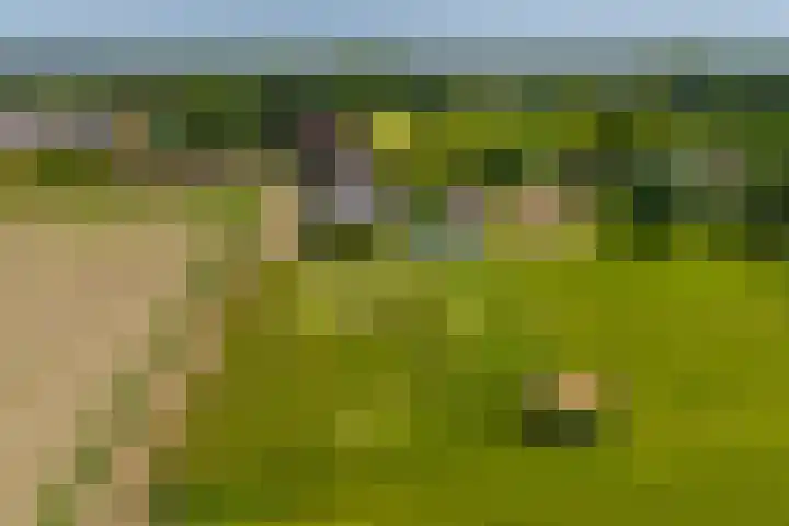 Heeske 3 a Maasbree thumbnail 71