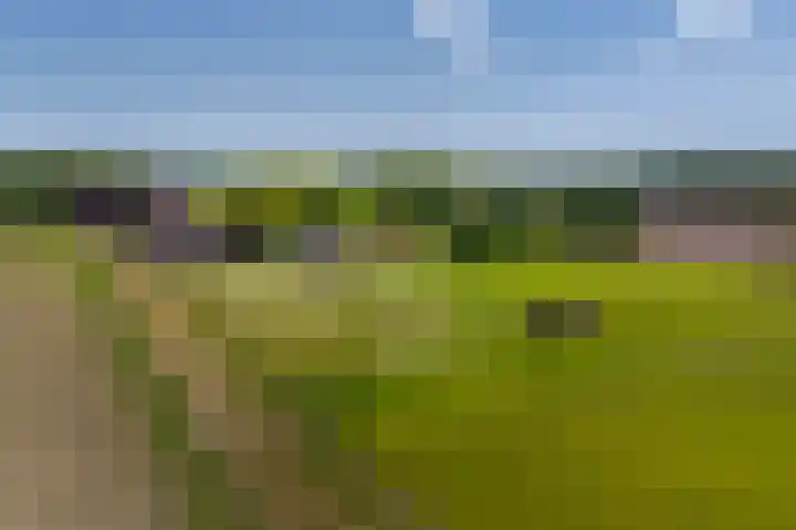 Heeske 3 a Maasbree thumbnail 72