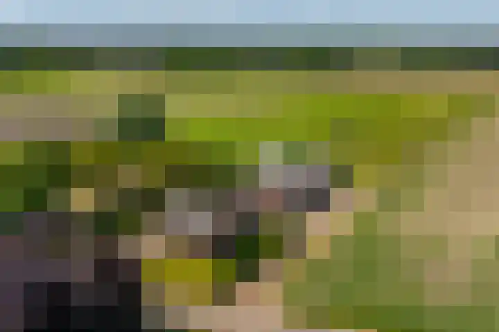 Heeske 3 a Maasbree thumbnail 73