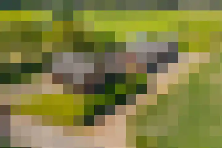 Heeske 3 a Maasbree thumbnail 74