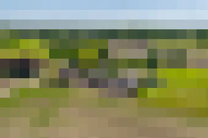 Heeske 3 a Maasbree thumbnail 76
