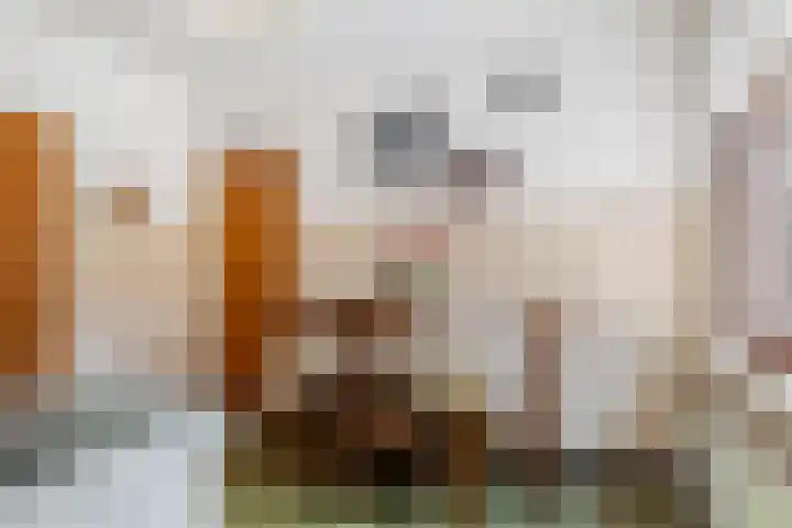Heeske 3 a Maasbree thumbnail 8