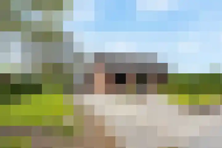 Heeske 3 a Maasbree thumbnail 84
