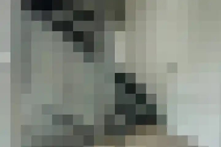 Heeskesacker 1216 Nijmegen thumbnail 13