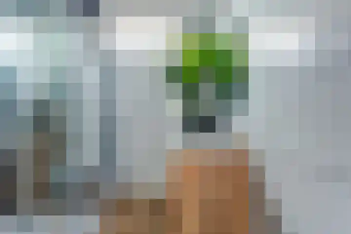 Heeskesacker 1216 Nijmegen thumbnail 26