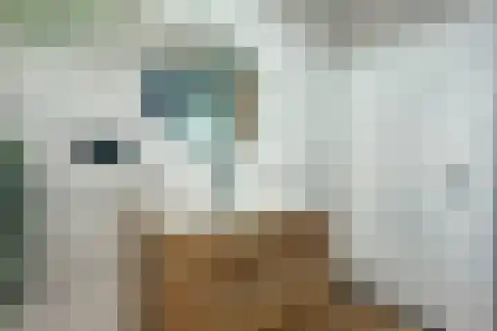 Heeskesacker 1216 Nijmegen thumbnail 28