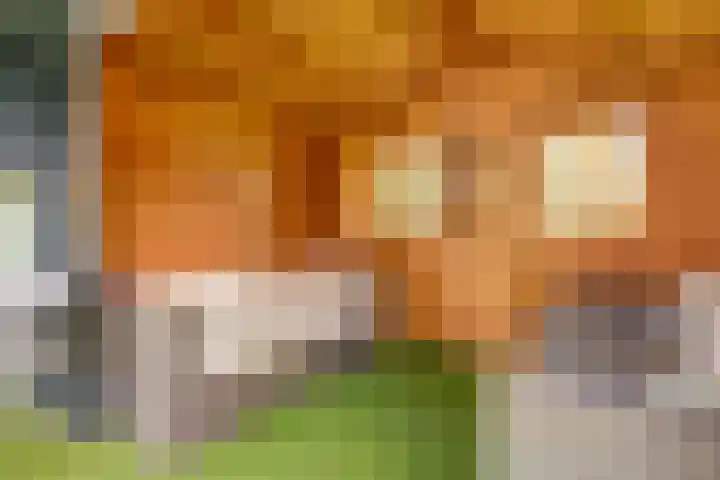 Heeskesacker 1216 Nijmegen thumbnail 34