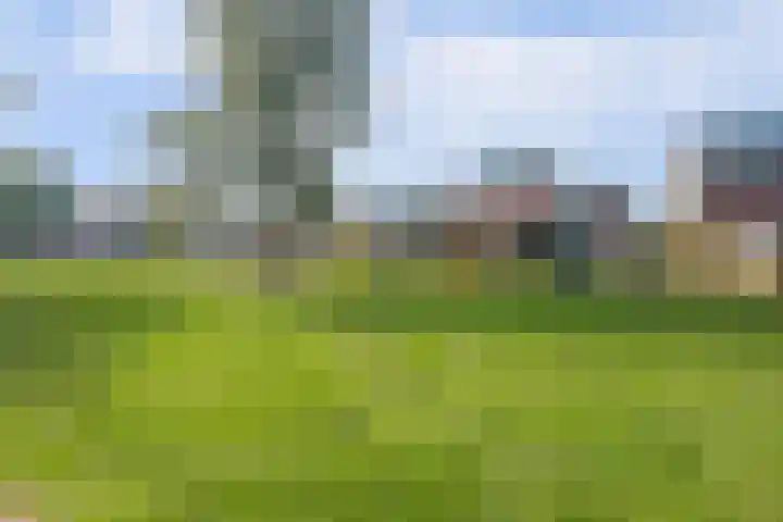 Heeskesacker 1216 Nijmegen thumbnail 37