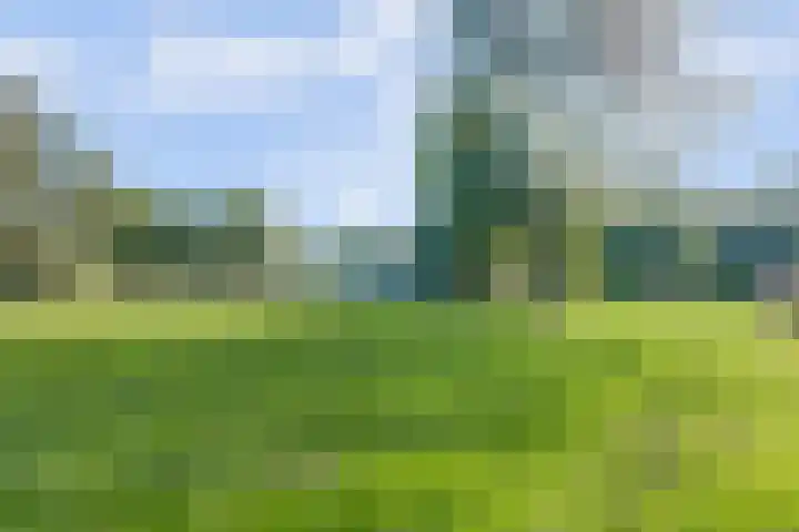 Heeskesacker 1216 Nijmegen thumbnail 38