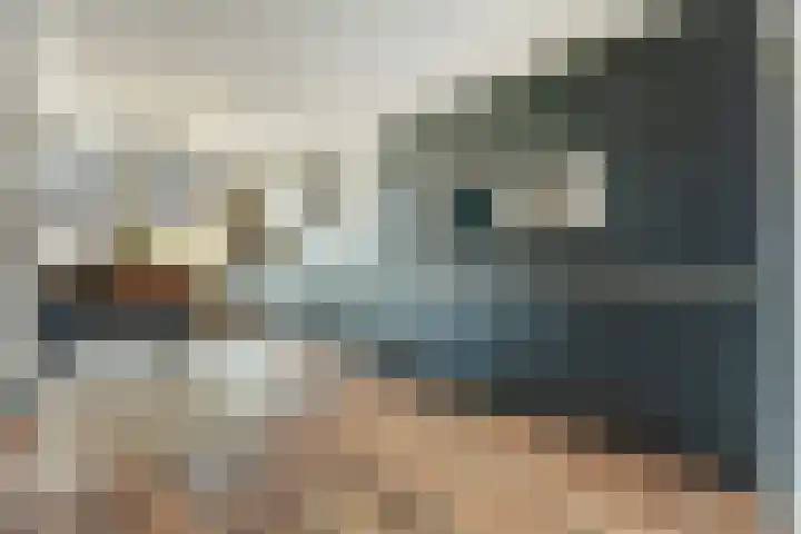 Heeskesacker 1216 Nijmegen thumbnail 5