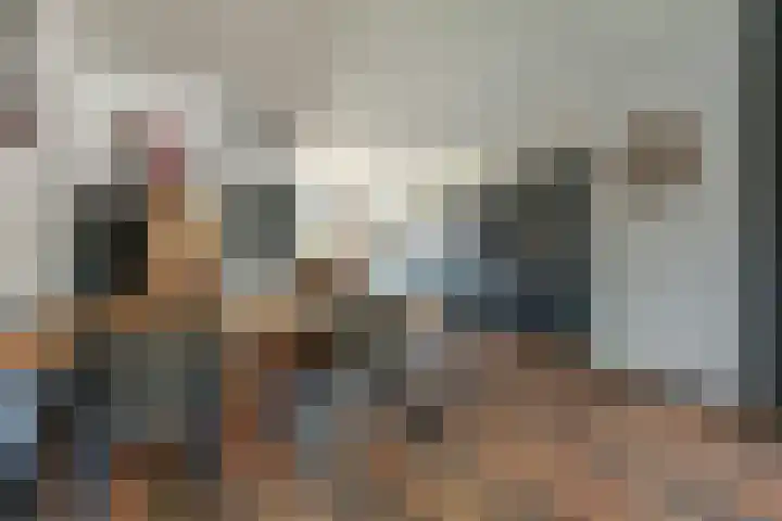 Heeskesacker 1216 Nijmegen thumbnail 9