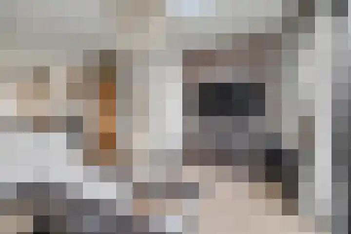 Heeskesacker 1244 Nijmegen thumbnail 10