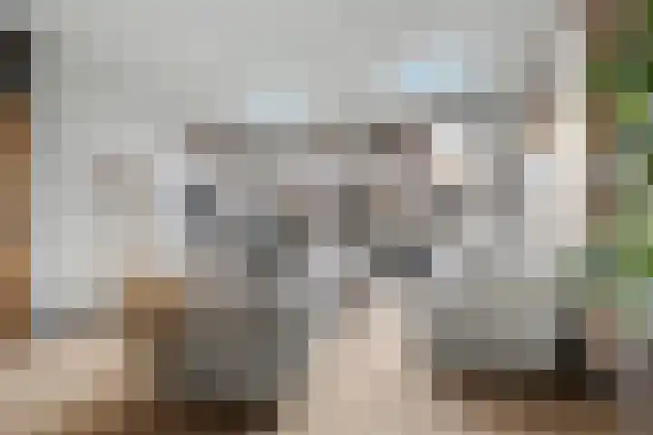 Heeskesacker 1244 Nijmegen thumbnail 11