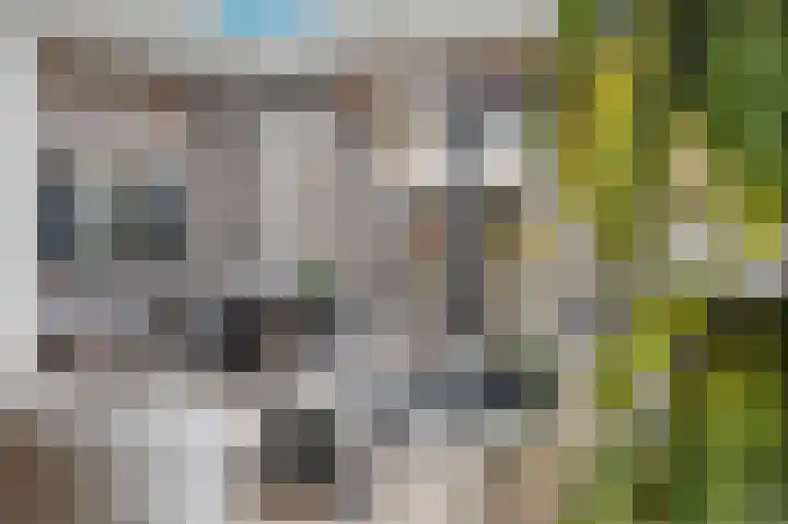 Heeskesacker 1244 Nijmegen thumbnail 13